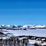 Skinnarbu Sneiselii