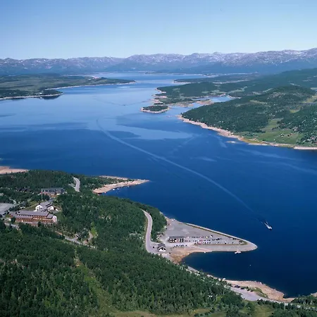 Skinnarbu Sneiselii