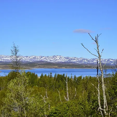 Skinnarbu Sneiselii