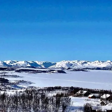 Skinnarbu Sneiselii